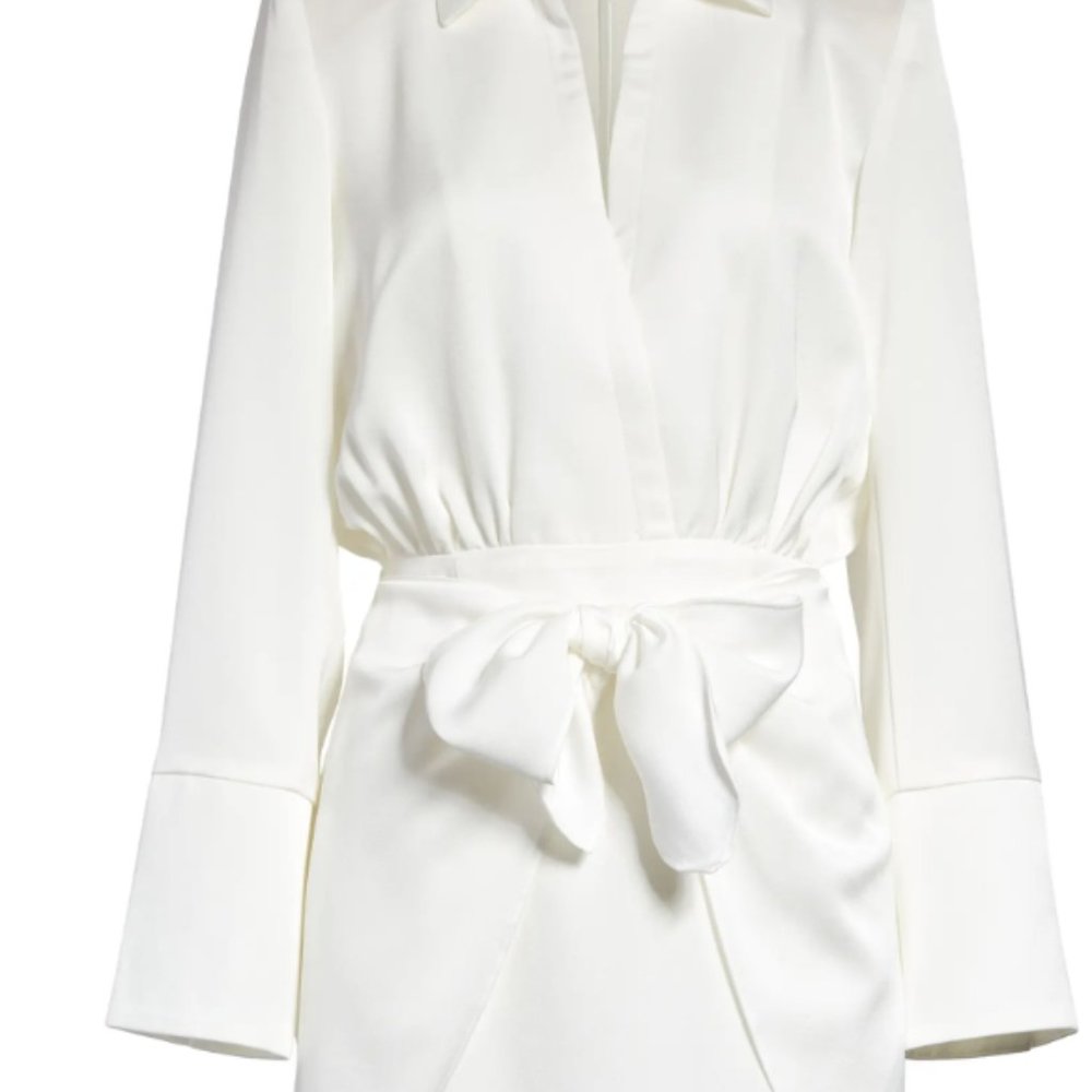 Reidun Long Sleeve Spread Collar Minidress